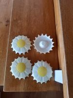 insektenschutz für trinkgläser