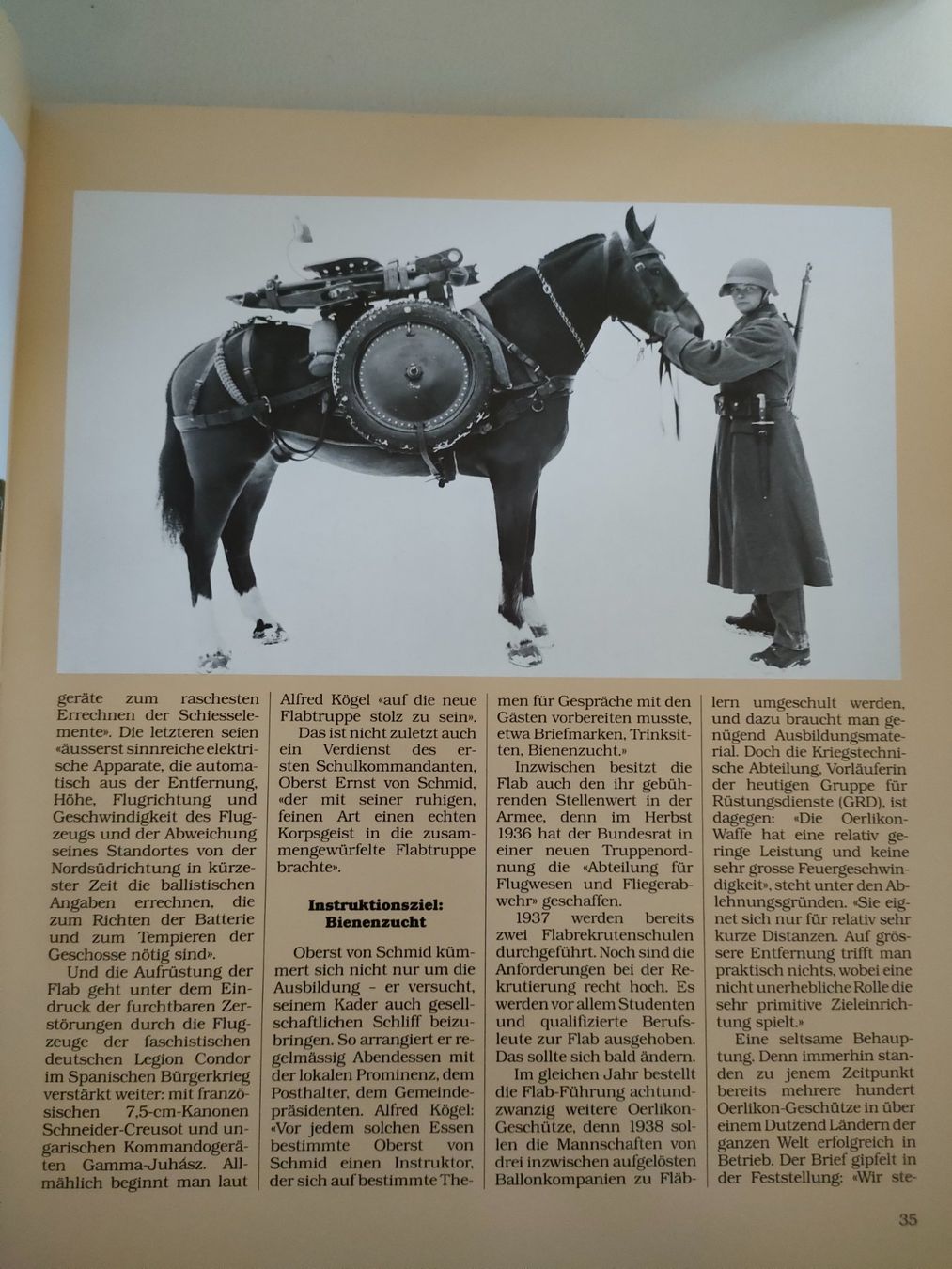 Libri: Schweizer Armee Militärbuch – Usato da Schwanden Sigrisw venduto da Wibe81 1