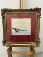 William Lewin (1747-1795) Aquarell Watercolor Duck Bild