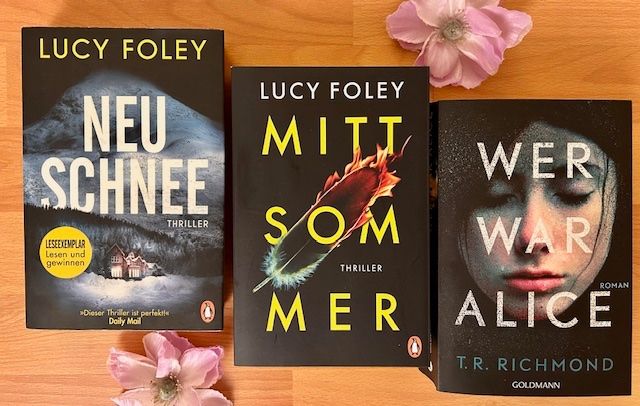 Bücher: Lucy Foley, T. R. Richmond, Michael Robotham, Steve Cavanagh – Neu (gemäss Beschreibung) aus Bern von Denzel8 2