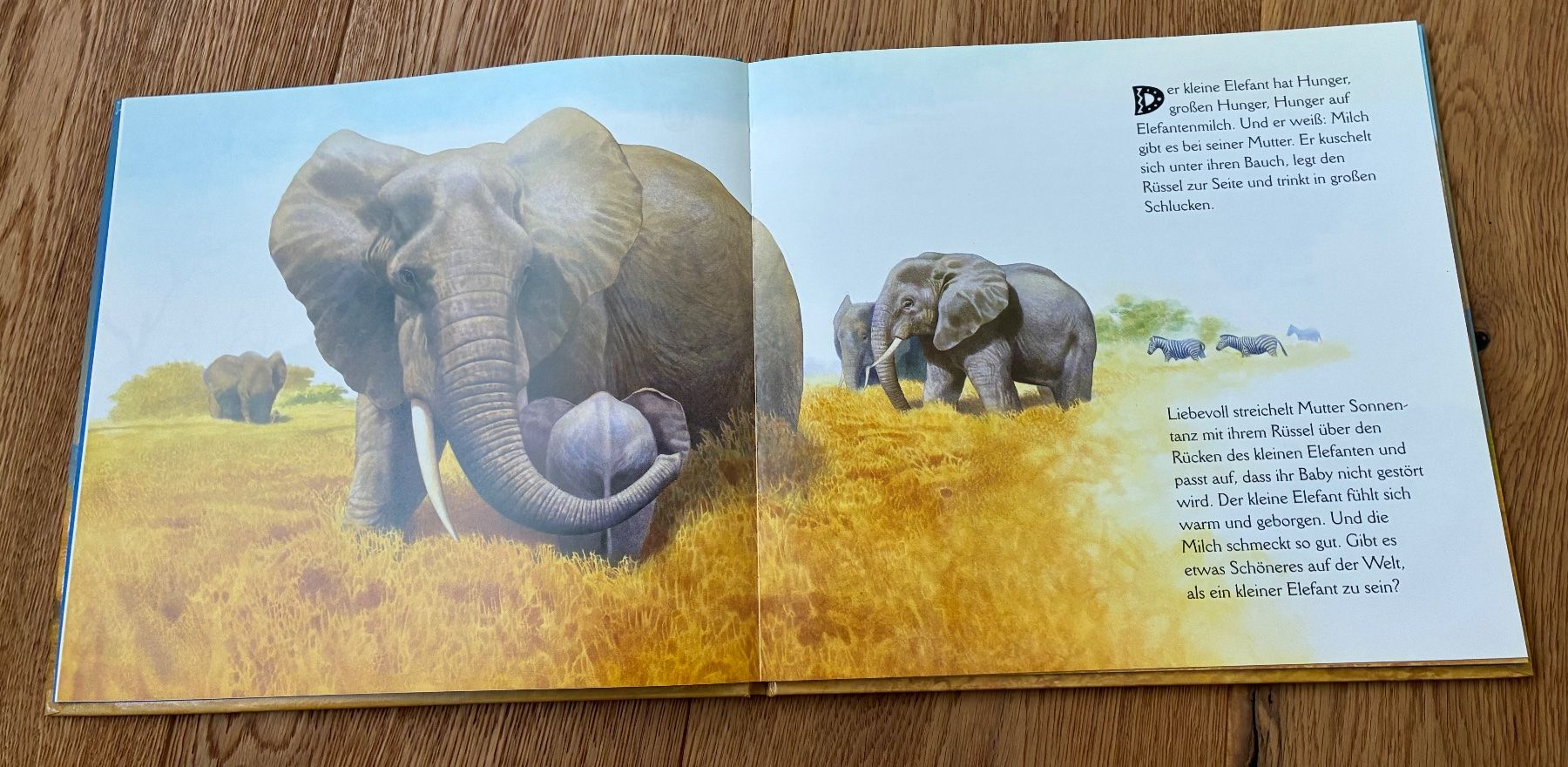 Libri: Kinderbuch: Wirbelwind das Elefantenkind – Usato da Murgenthal venduto da chili60 2