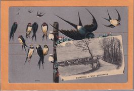 Carte fenêtre - Bonfol - Hirondelles - 1918