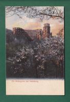 Blütengruss aus HEIDELBERG