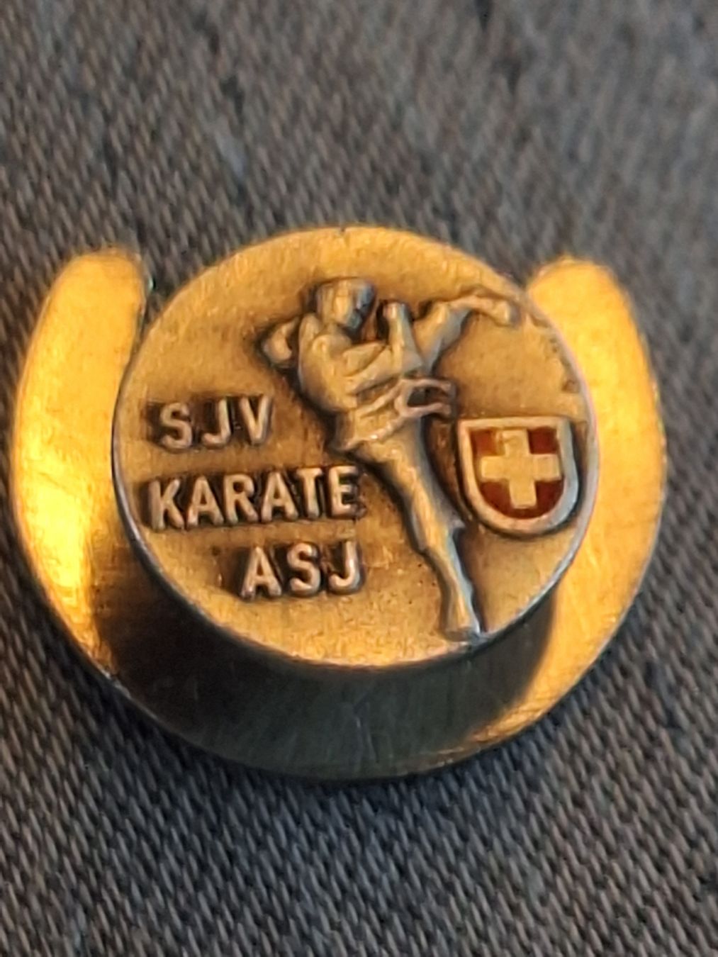 Medaglie: Alter Reversknopf Karate Schweiz Abzeichen  – Usato da Schaffhausen venduto da RicardoSchaffhausen