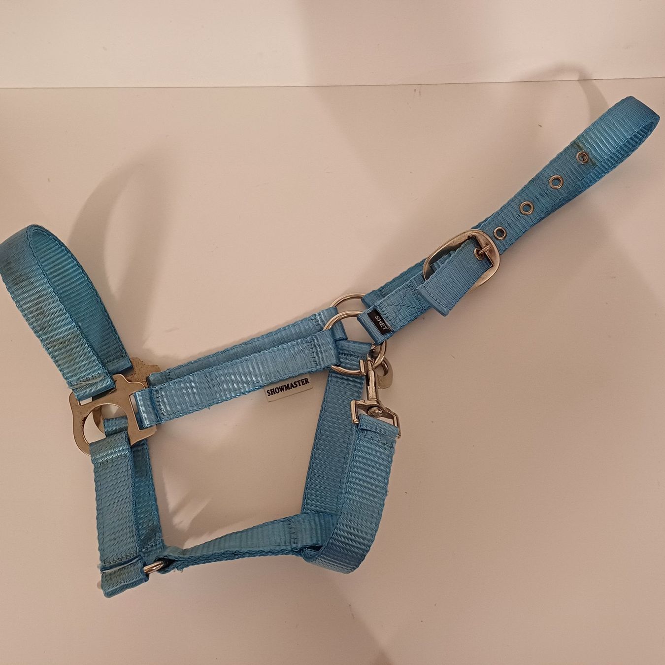 Briglie & Cavezze: Licol bleu taille shetty – Usato da Villeneuve VD venduto da vog_yc5s 3