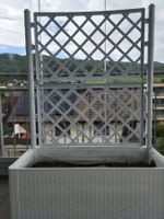 vidaXL Pflanzkübel mit Rankgitter Weiß