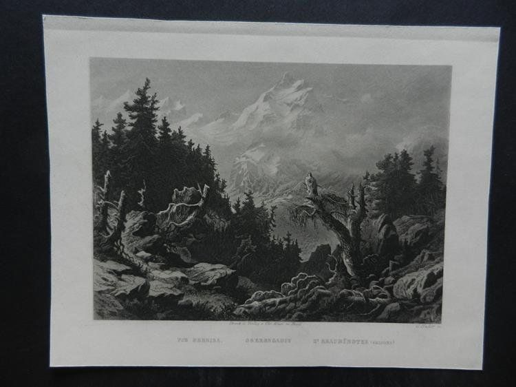 Gravures: Piz Bernina – D'occasion à Risch par Rischli15