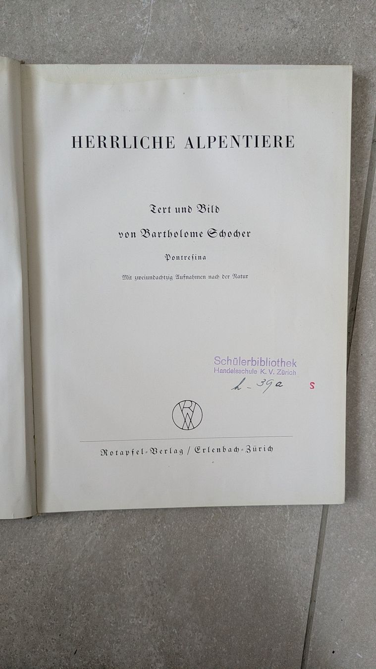 Libri: altes Buch "Herrliche Alpentiere", 1939 – Usato da Rottenschwil venduto da chnoblipress 1