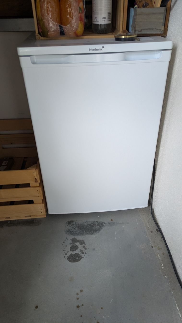 Frigoriferi: Intertronic Kühlschrank 113L – Usato da Steinen venduto da wal_v2ls
