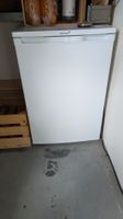 Intertronic Kühlschrank 113L