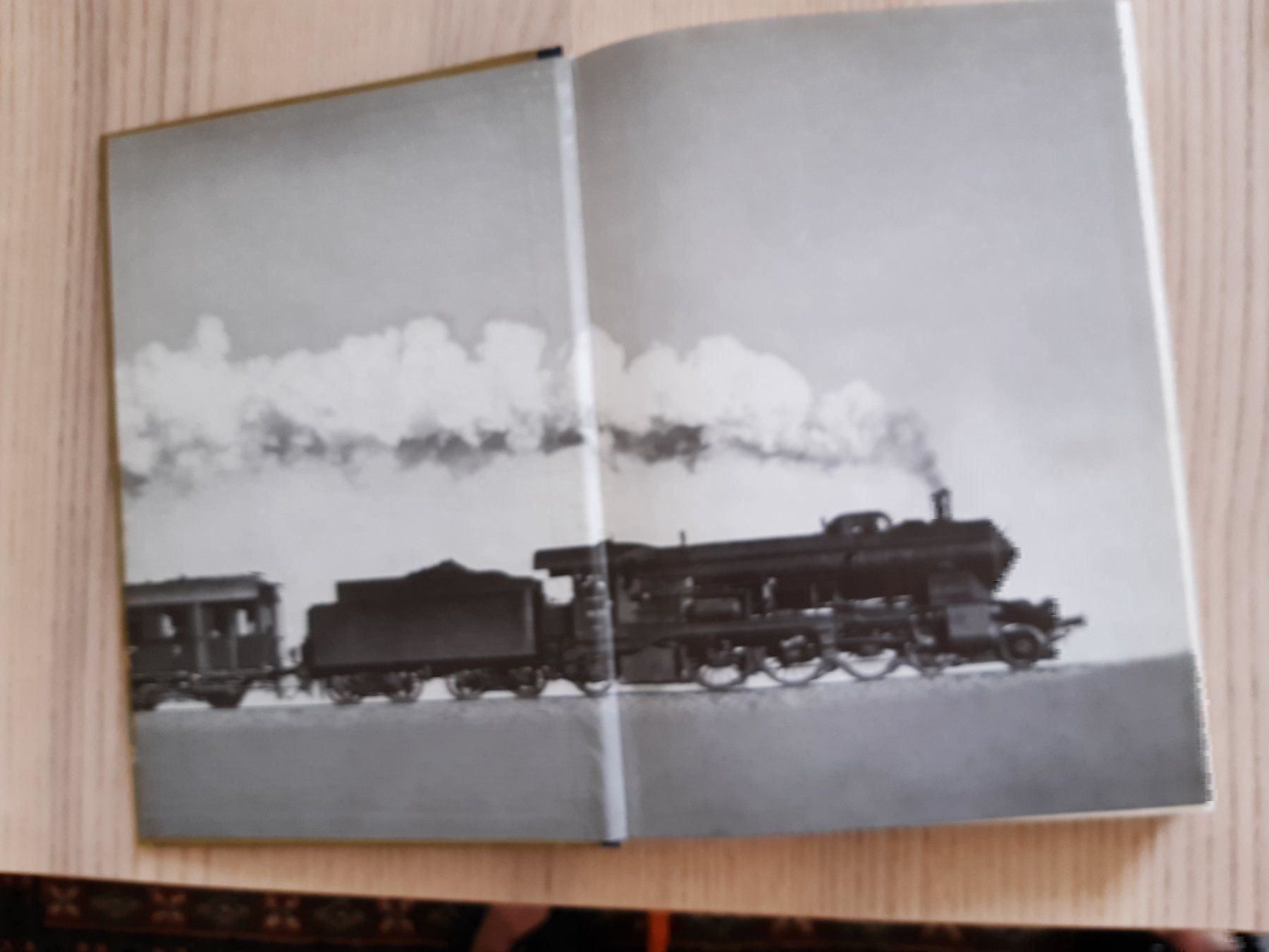 Libri: Geliebte Dampflok – Usato da Langenthal venduto da Deern1 1