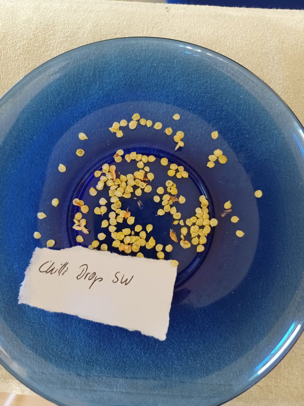 Piante & sementi: Chili sweet drop 10Samen – Usato da Schwaderloch venduto da bademeister79 1
