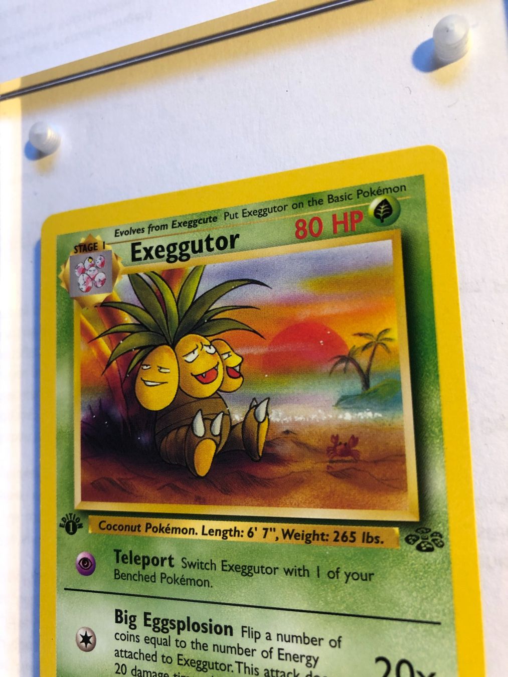 Cartes à collectionner: Exeggutor (uncommon) 1st Jungle - MINT - ab 1.- – D'occasion à Giubiasco par dan_pr8b 3