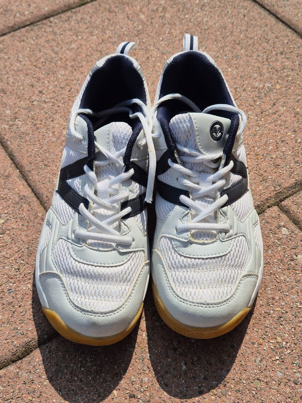 Scarpe da uomo: Herrenschuhe – Usato da Eichberg venduto da Odines 1