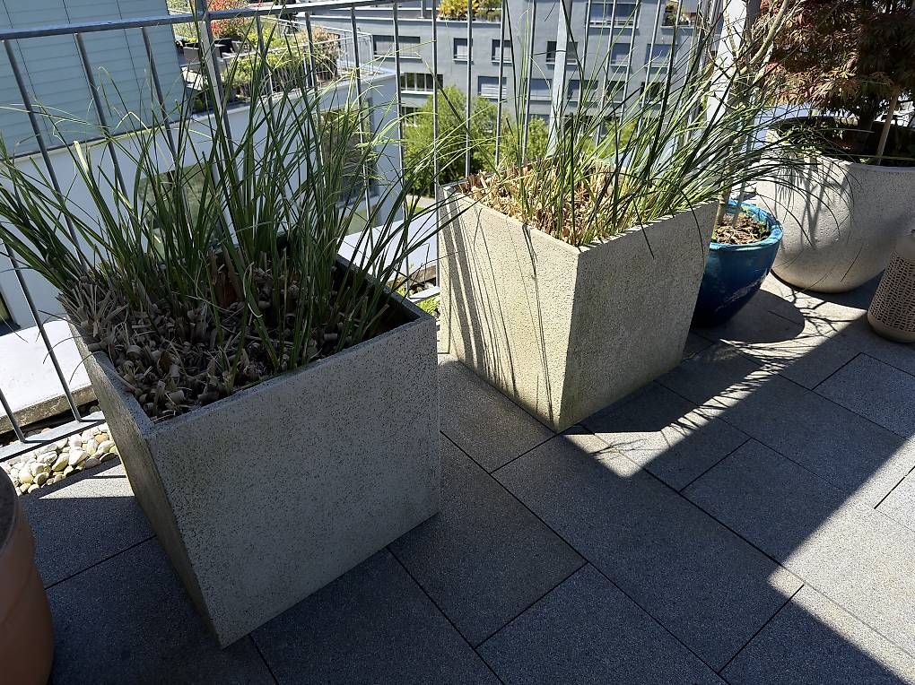 Box contenitori: 2 hochwertigen Gartenkübel mit Gräser – Usato da Richterswil venduto da ski_7ffp 3