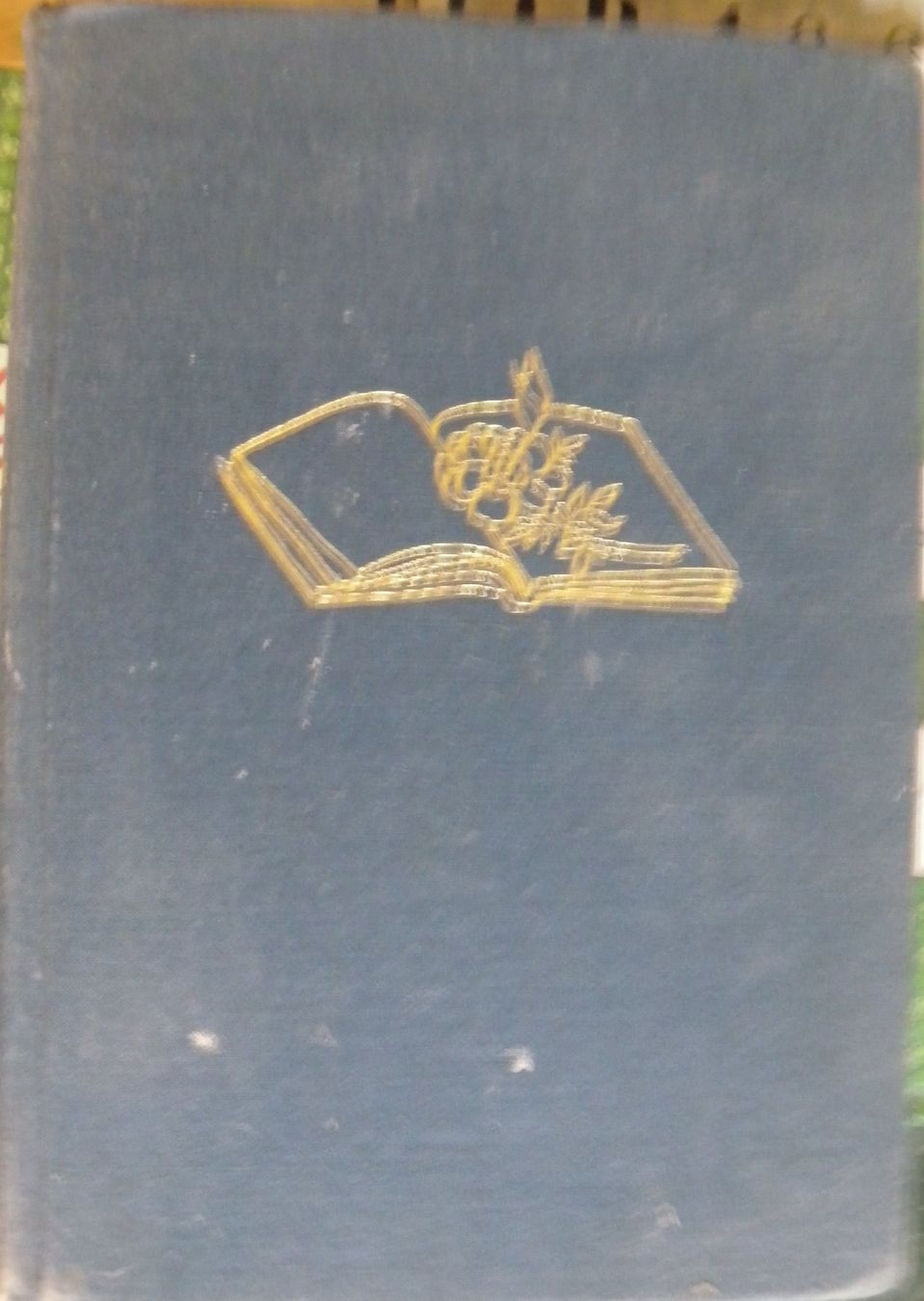 Libri: Gedichtband, dunkelblau – Usato da Hauenstein venduto da davia72
