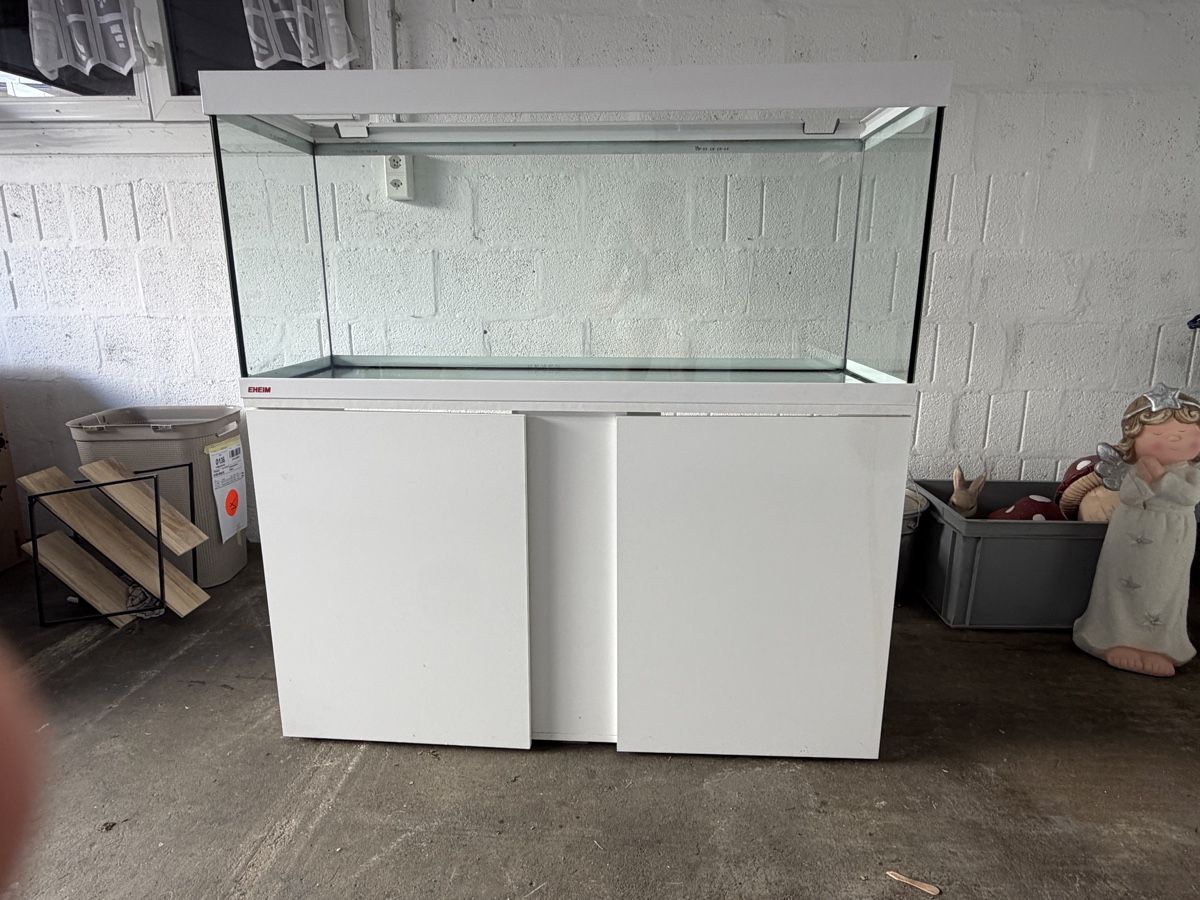 Aquarium: Aquarium 240 liter – Gebraucht aus Busswil BE von FLURIBOY1