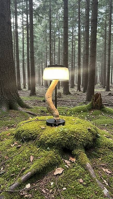 Lampade: Lampe aus Schwemmholz – Usato da Brunnen venduto da PatrickAndrea