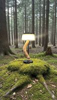 Lampe aus Schwemmholz