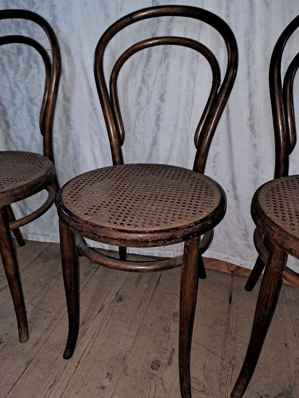 Sedie: Lot 3 Wiener Stühle – Usato da Gebenstorf venduto da suroh 1
