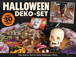 Halloween-Deko-Set  über 30 Teile für deine Gruselparty