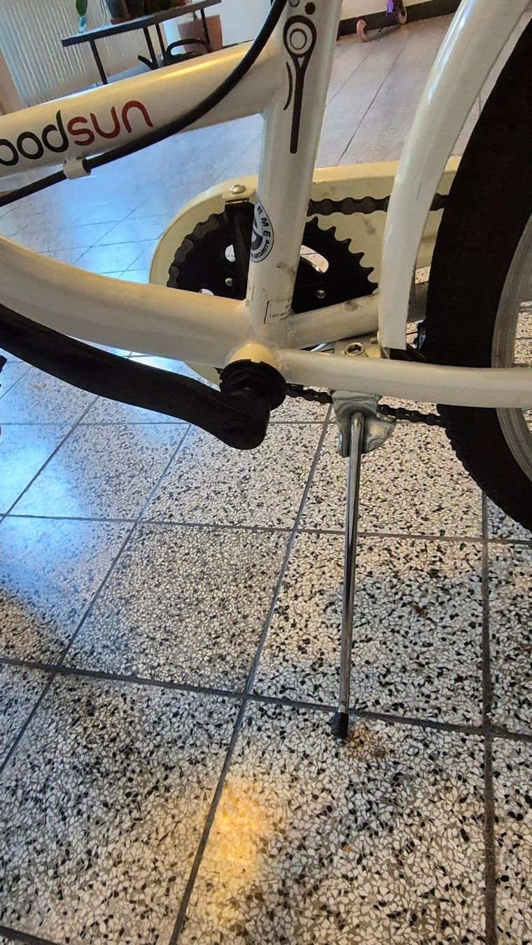 Biciclette: Mädchenvelo / Vélo Filles Woodsun – Usato da Basel venduto da Cellostoffeli 7