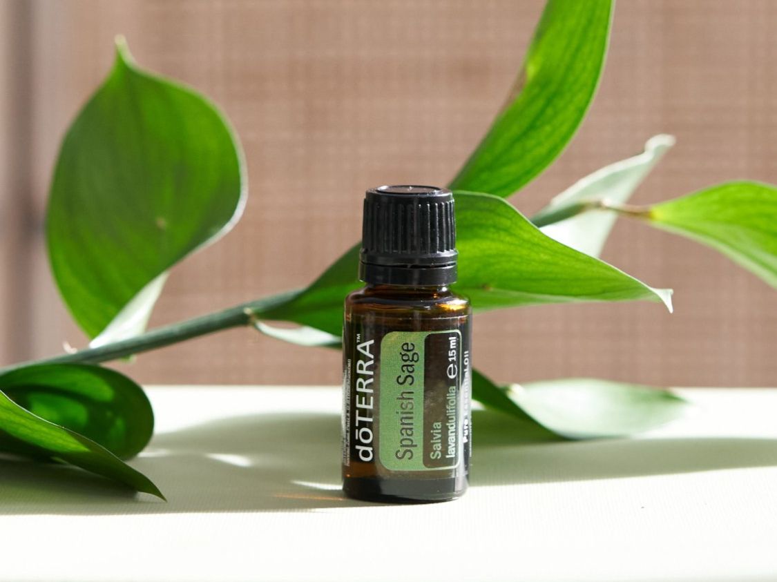 Oli essenziali: Spanish Sage - Spanischer Salbei | ätherisches Öl (doTERRA) – Usato da Olten venduto da Duft-Atelier-Schweiz 1