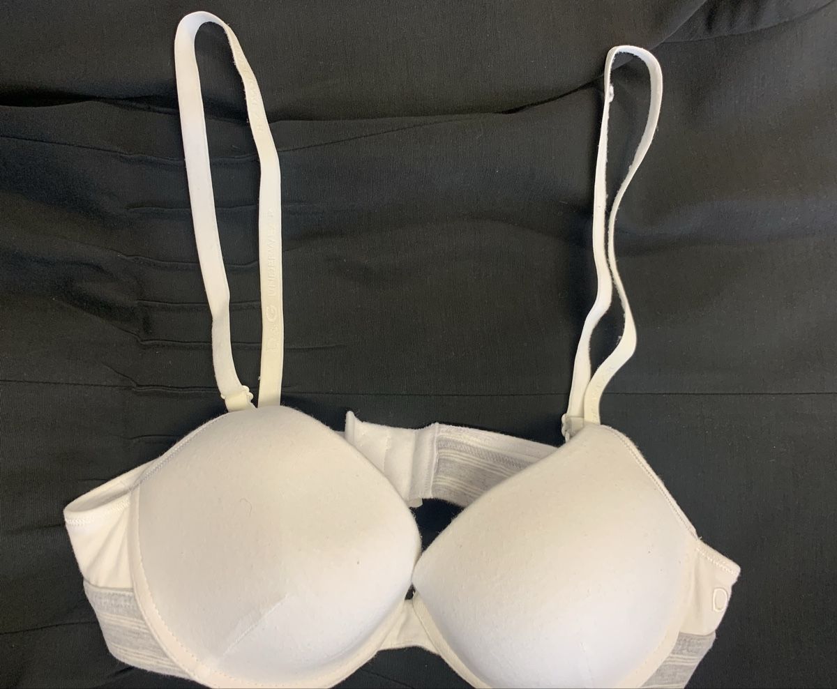 Dolce & Gabbana Altra biancheria intima: D&G Baumwolle BH. 34/36 A/B – Usato da Unterseen venduto da jpowers1971