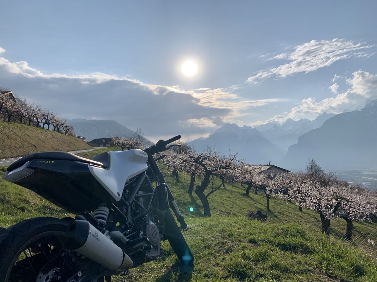 Husqvarna Route: Husqvarna Vitpilen 401 – D'occasion à Sion par vz2_n5x2 1