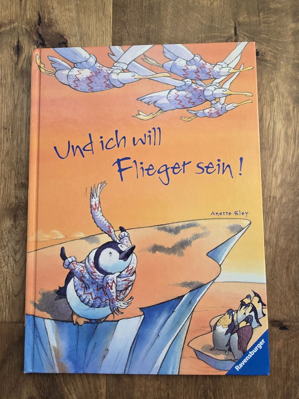 Libri: Bilderbuch "Und ich will Flieger sein" Anette Bley  – Usato da Wittenbach venduto da Tigerlili