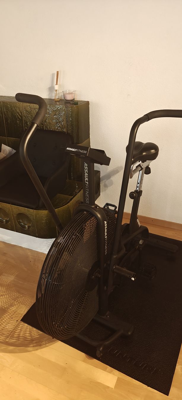 Biciclette: Assault Bike – Usato da Mönchaltorf venduto da aar_l729 2