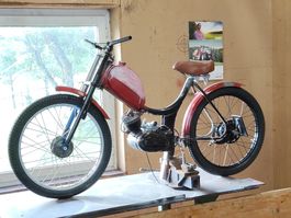 Sachs Rixe