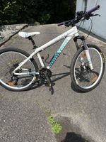 26“ MTB in Grösse S