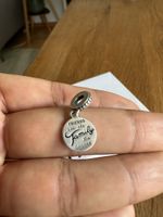 Pandora Charm "Friends are family" 925 Silber Top!