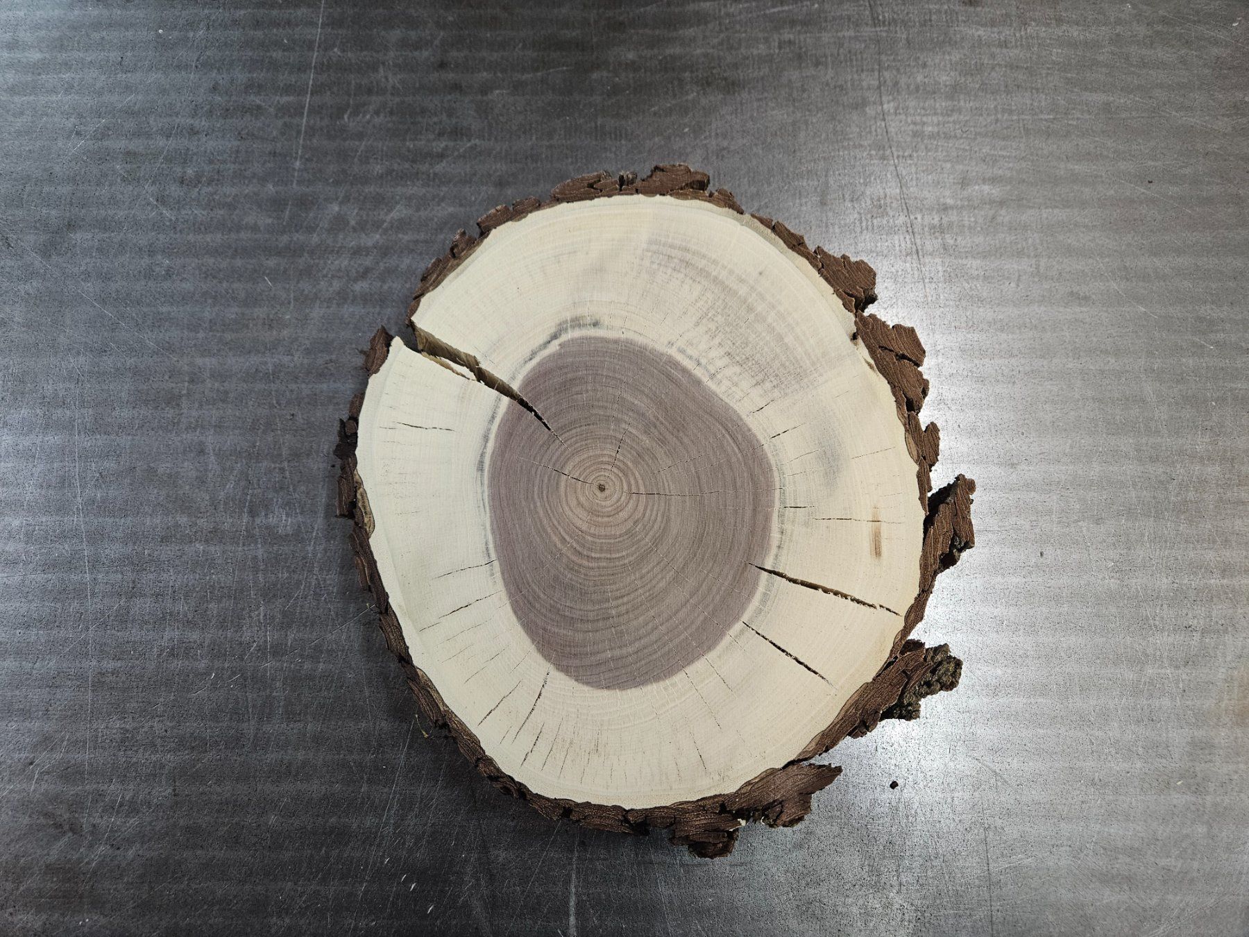 Holzartikel: Nussbaum Holz Baumscheibe – Neu (gemäss Beschreibung) aus Schangnau von egli6.2 2