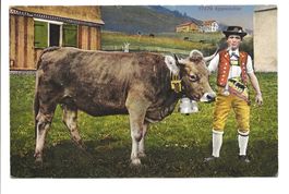Landwirtschaft - Appenzeller Bauer in Tracht mit Kuh - 1927
