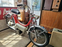 Motorino Mondia CM-CH-7552