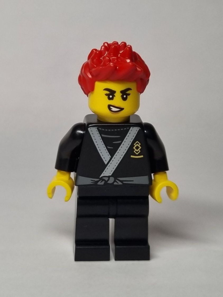 Lego Kit di costruzioni: LEGO BAM Easter 2025 Ninja with black tiger robe – Nuovo (secondo la descrizione) da Basadingen venduto da NekoBricks