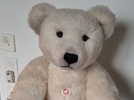 Steiff grosser Polarbär, 65cm unbespielt, inkl. Zertifikat
