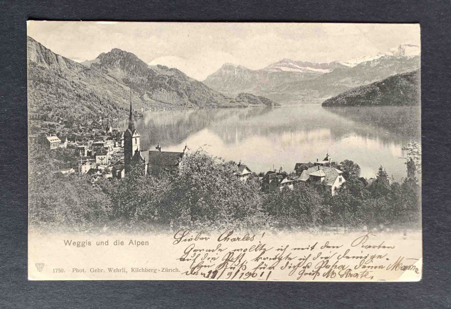 Cartoline postali: AK Weggis und die Alpen – Usato da Goldau venduto da artelier1