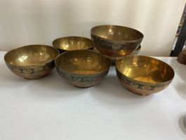 6 Schalen
