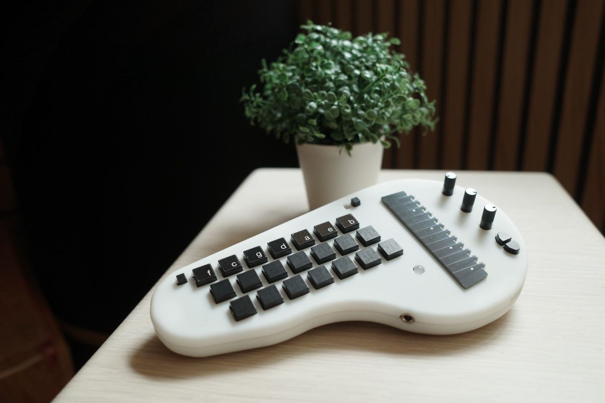Instruments de musique: Minichord synth  – D'occasion à Fribourg par altmix