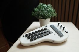 Minichord synth 