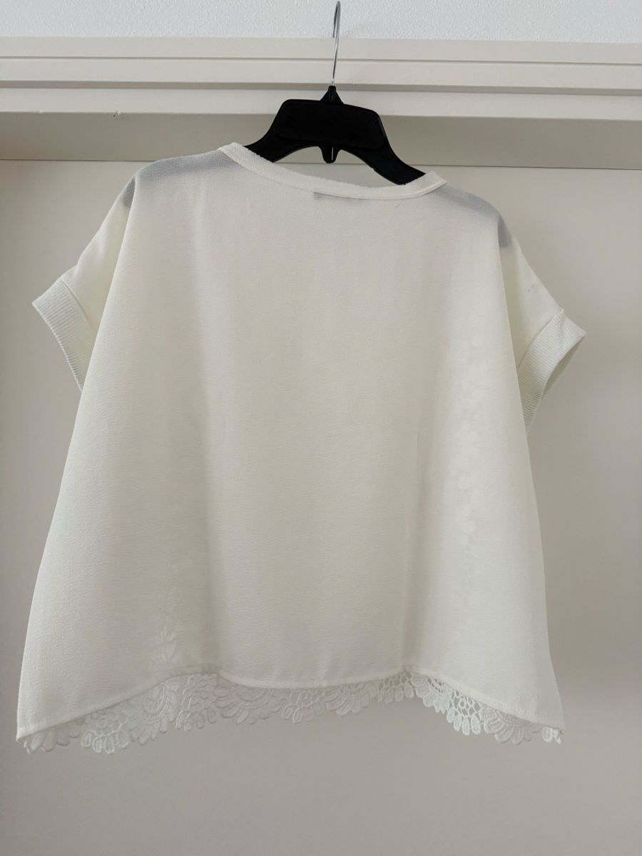Zara Top: Top pizzo ZARA – Usato da Viganello venduto da mit_hd8q 1