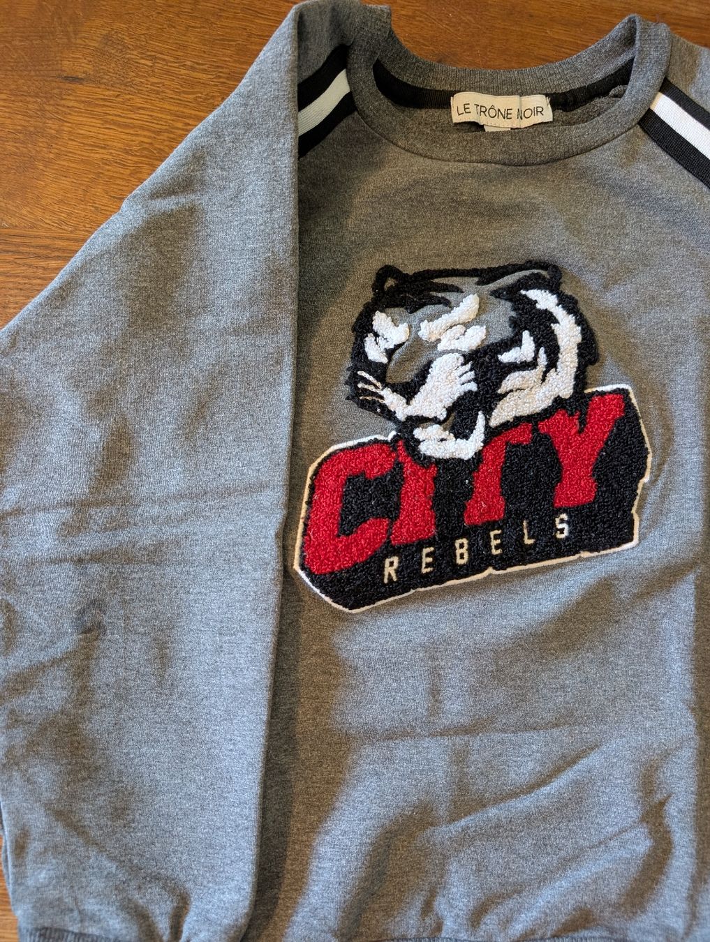 Maglioni & Felpe: Pullover grau Grösse 110-5Y mit Tigerprint guter Zustand – Usato da Bern venduto da Zorro333 3