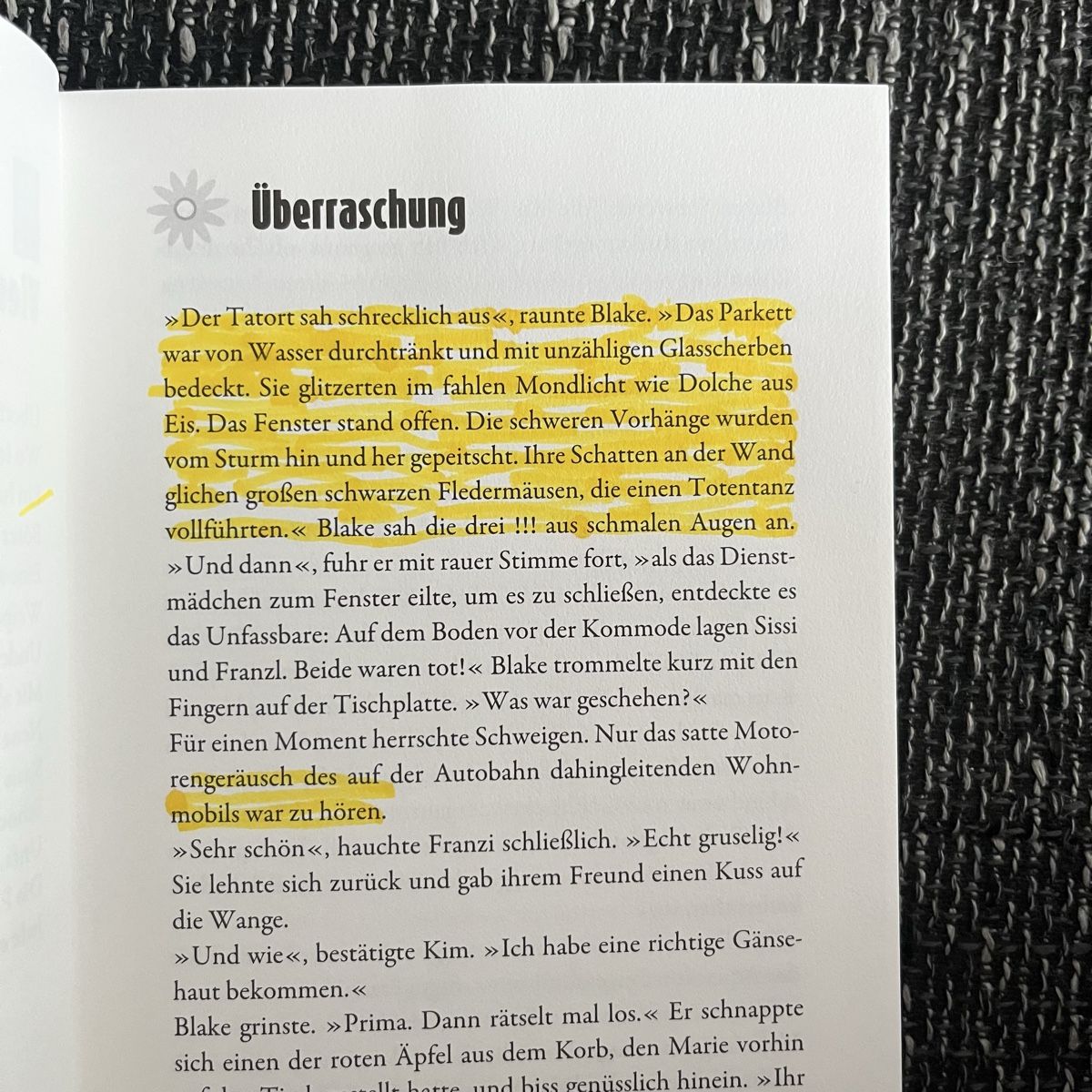 Livres: Die drei !!! Vier Pfoten in Gefahr – D'occasion à Schwyz par rs-trend 2