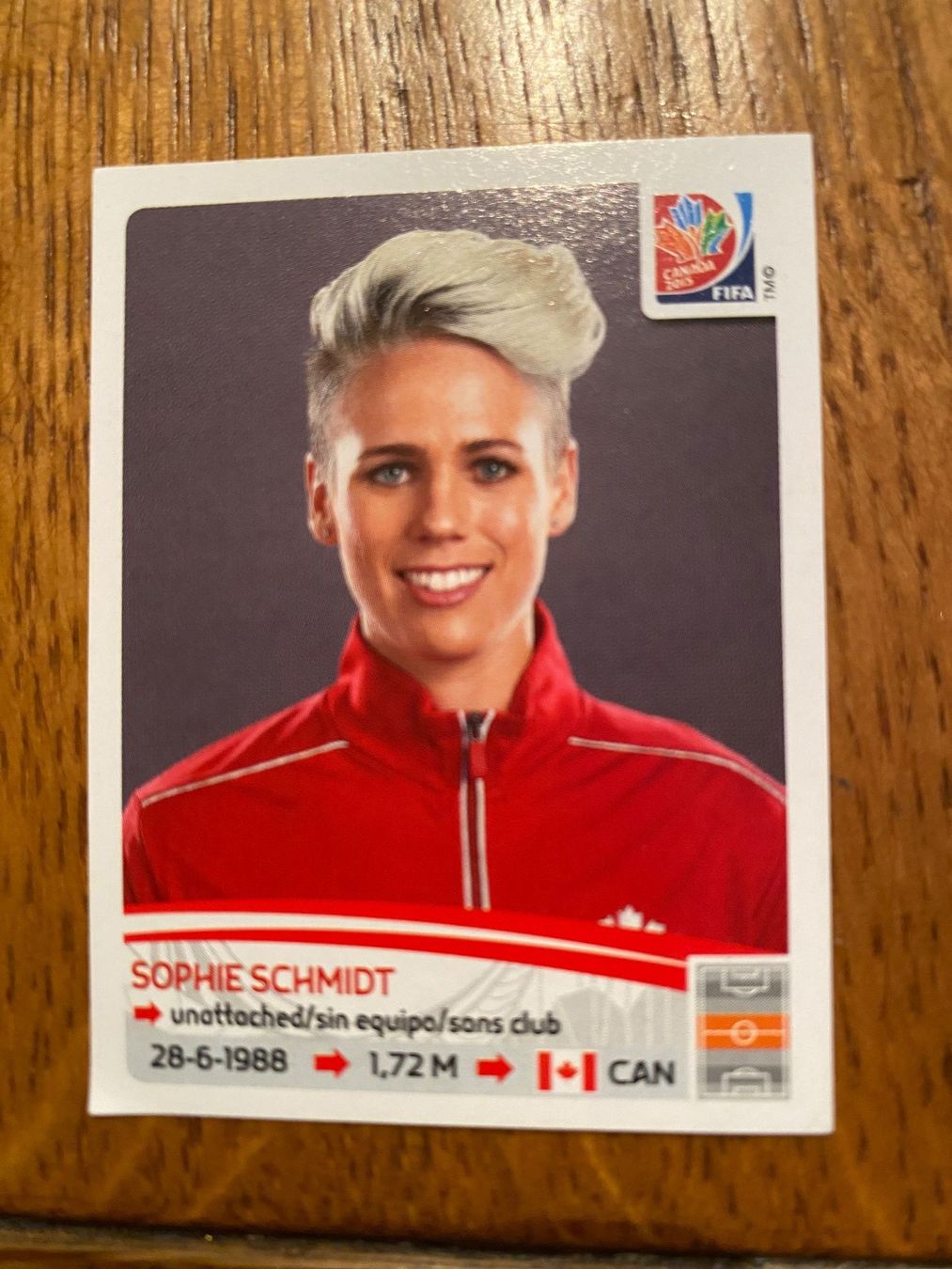 Panini Carte collezionabili: WM 2015 – Nuovo (secondo la descrizione) da Abtwil SG venduto da Zwiebi