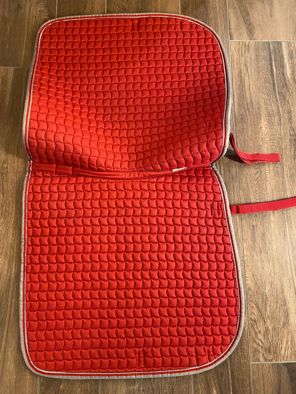 Eskadron Coperte: Eskadron Schabracke Cotton Chilli DL – Usato da Pratteln venduto da a23_j2gs 5