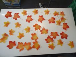 Herbstschmuck