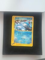 Marill expedition 🇬🇧🫆 | Pokemon
